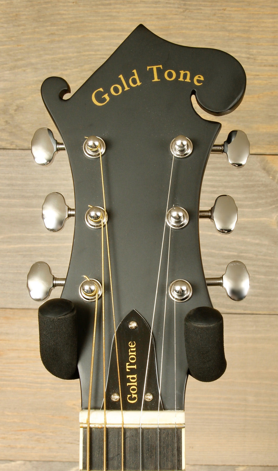 Gold Tone F-6 with Hard Bag (USED)