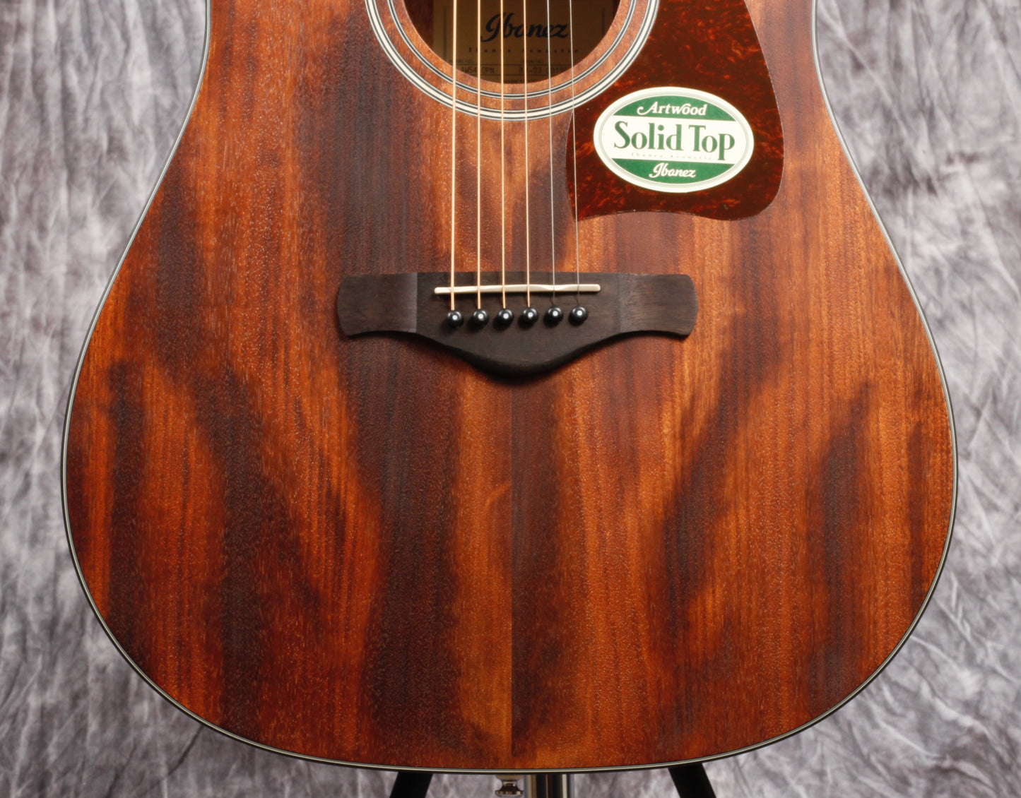 Ibanez Artwood Series ACS Guitar.