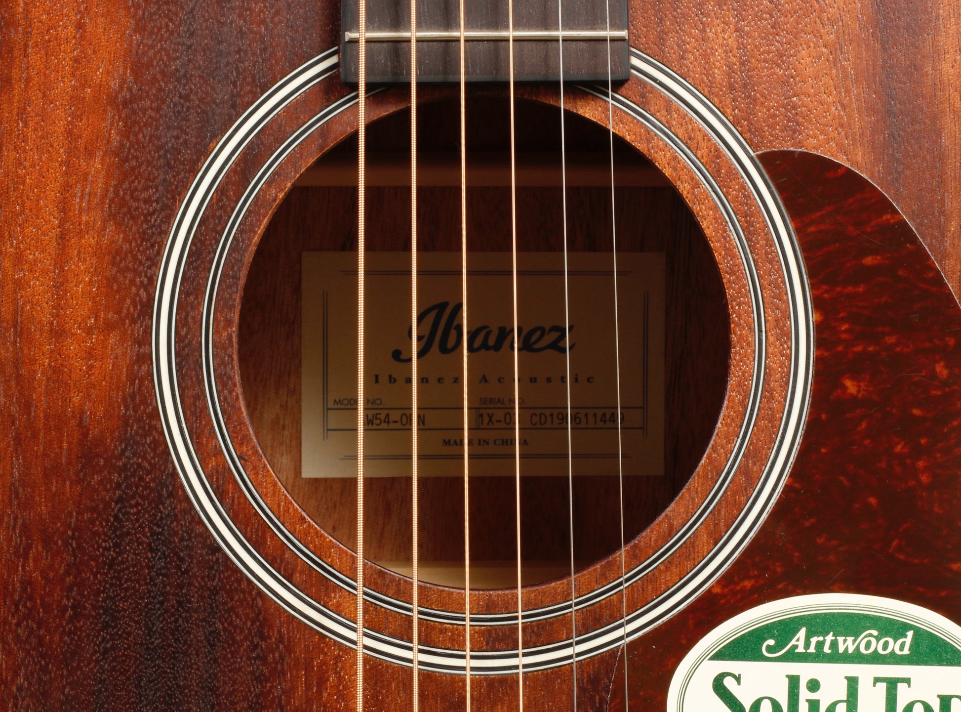 Ibanez Artwood Series ACS Guitar.
