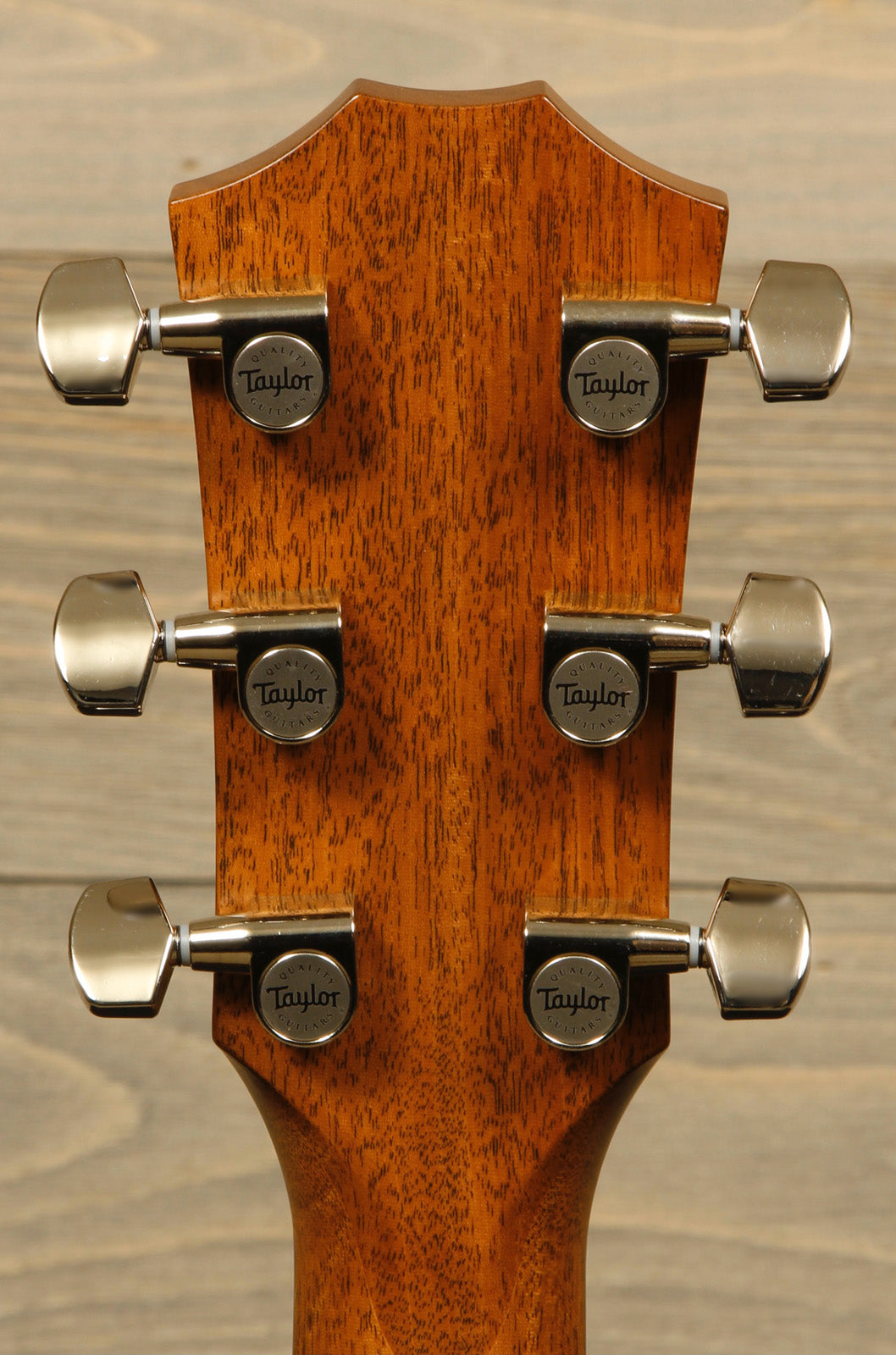 Taylor 714ce WSB - Mojo's Music