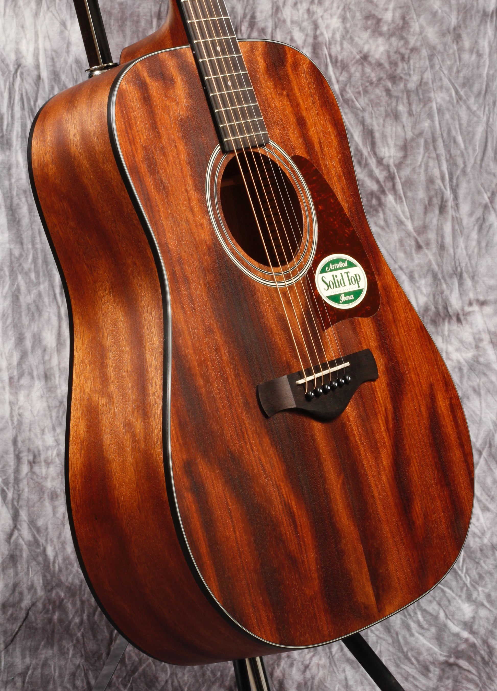 Ibanez Artwood Series ACS Guitar.