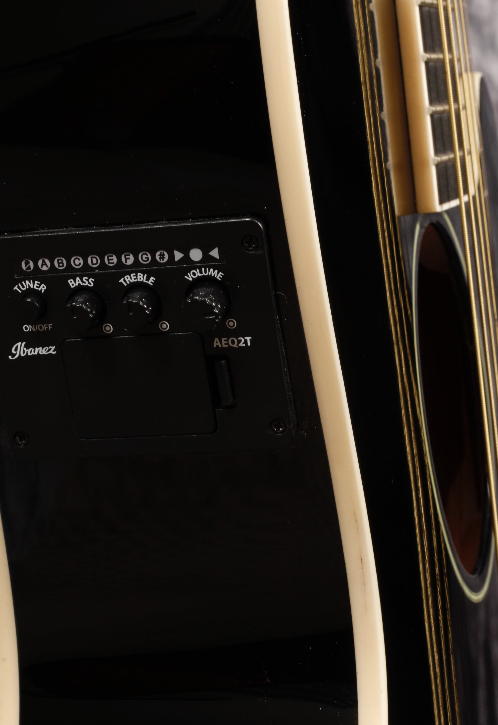 Ibanez Talman Acoustic - Mojo's Music