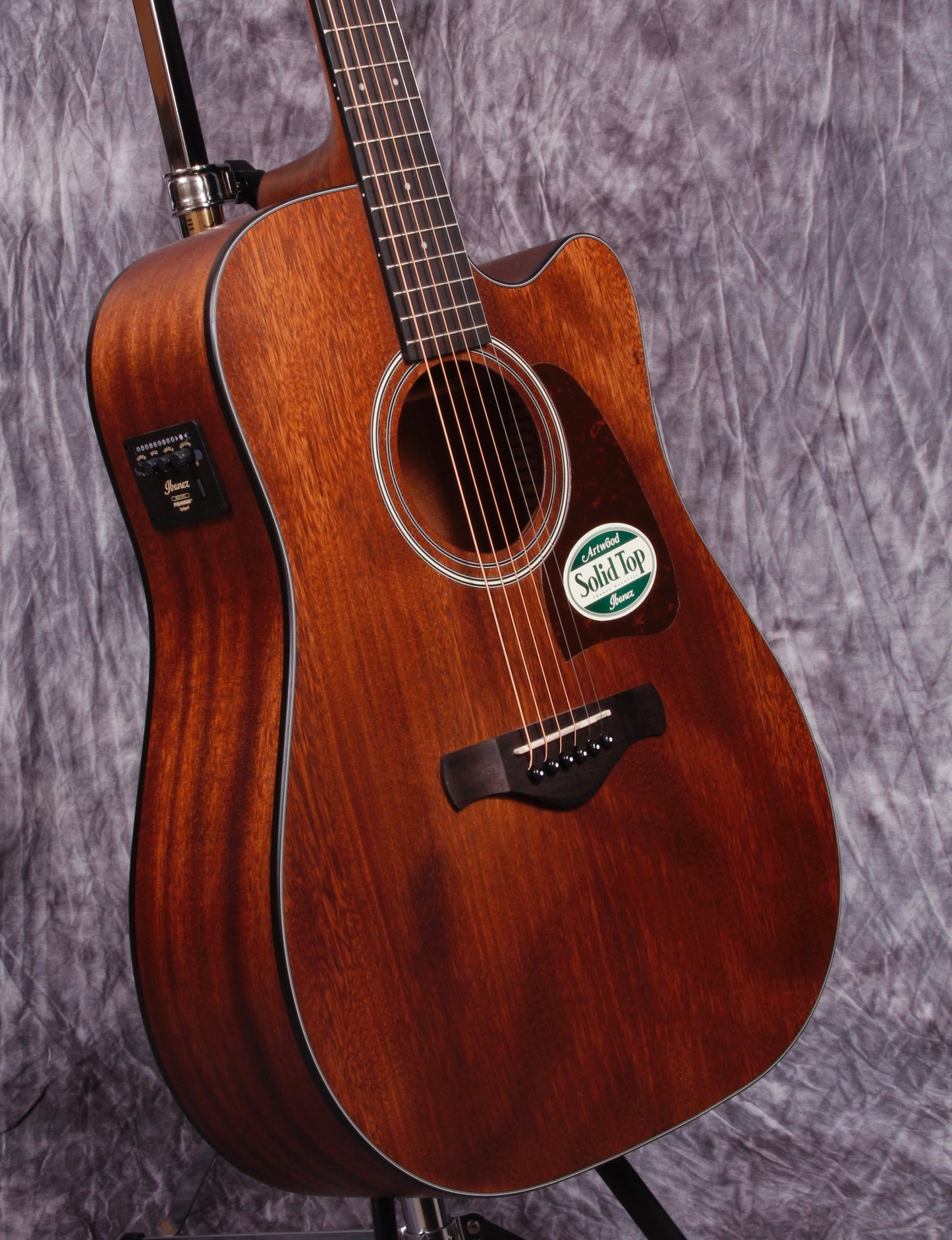 Ibanez Artwood Series ACS Electric/Acoustic Guitar.