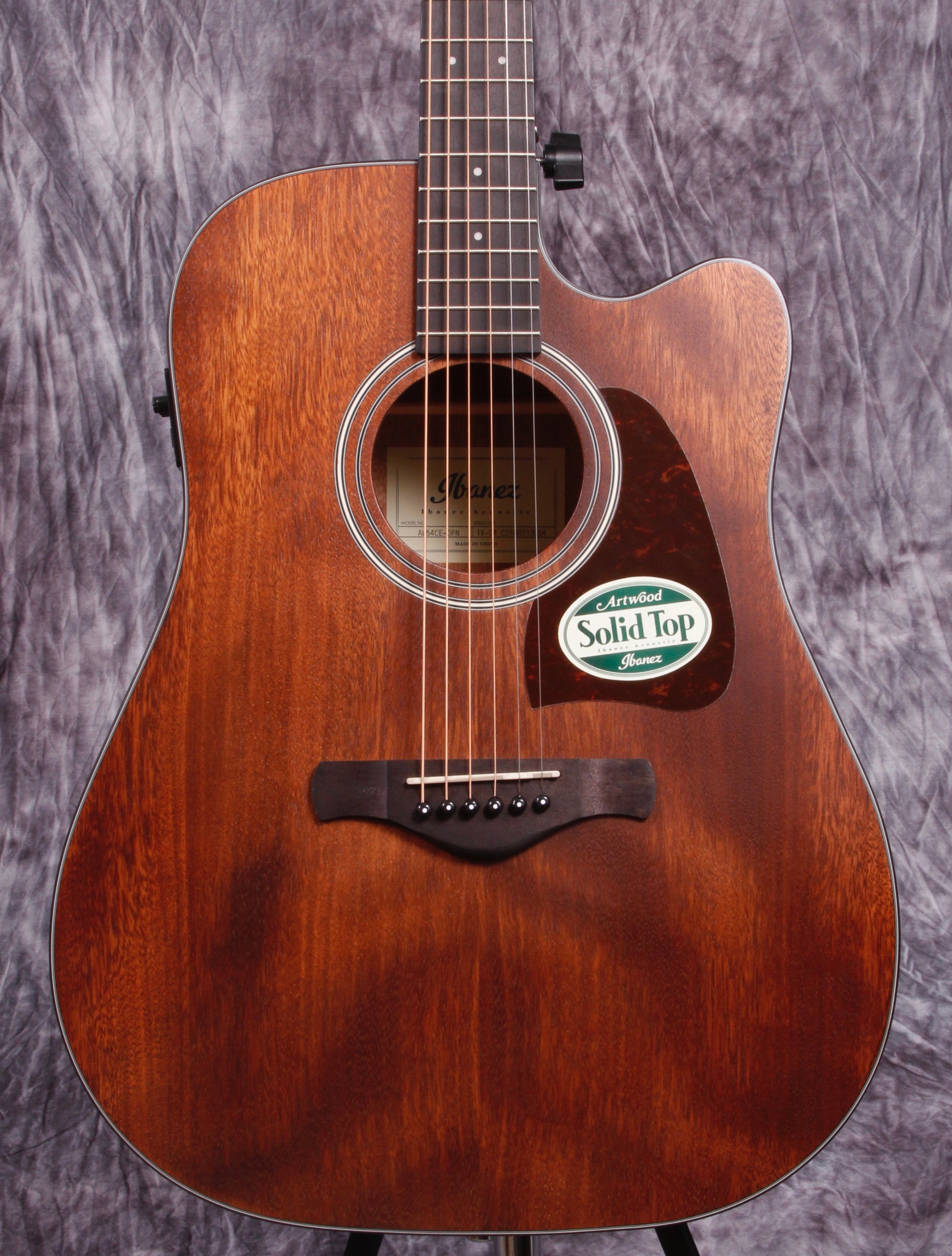 Ibanez Artwood Series ACS Electric/Acoustic Guitar.