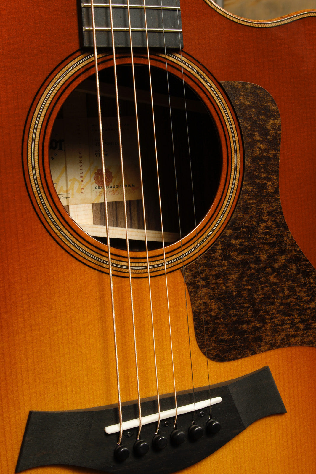 Taylor 714ce WSB Taylor