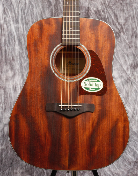 Ibanez Artwood Series ACS Guitar.
