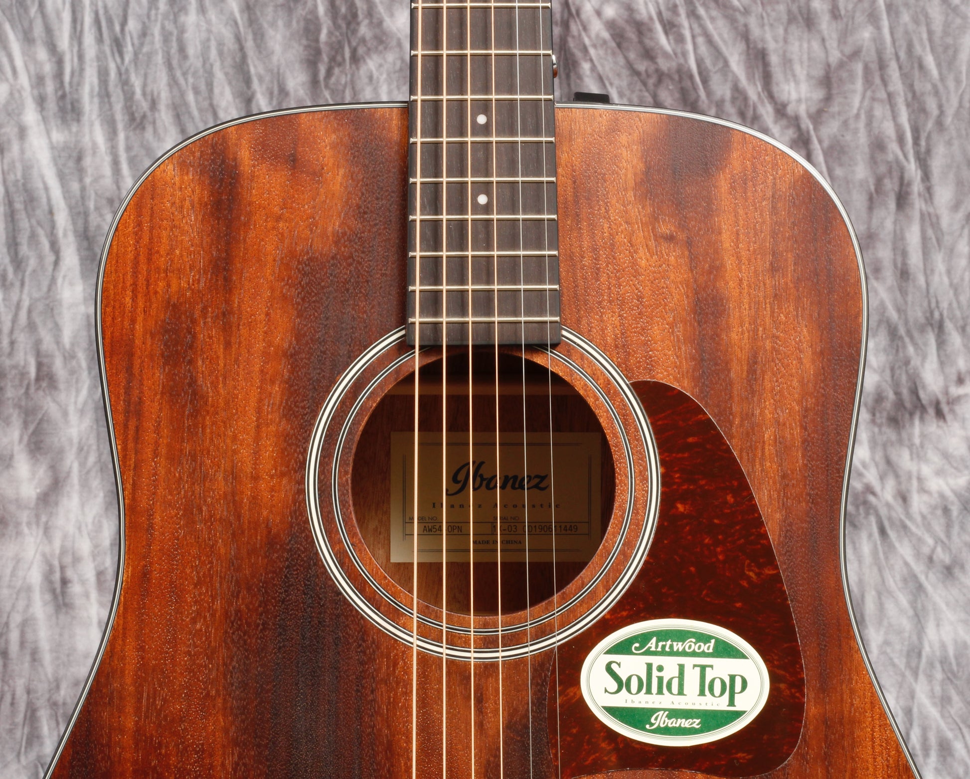 Ibanez Artwood Series ACS Guitar.