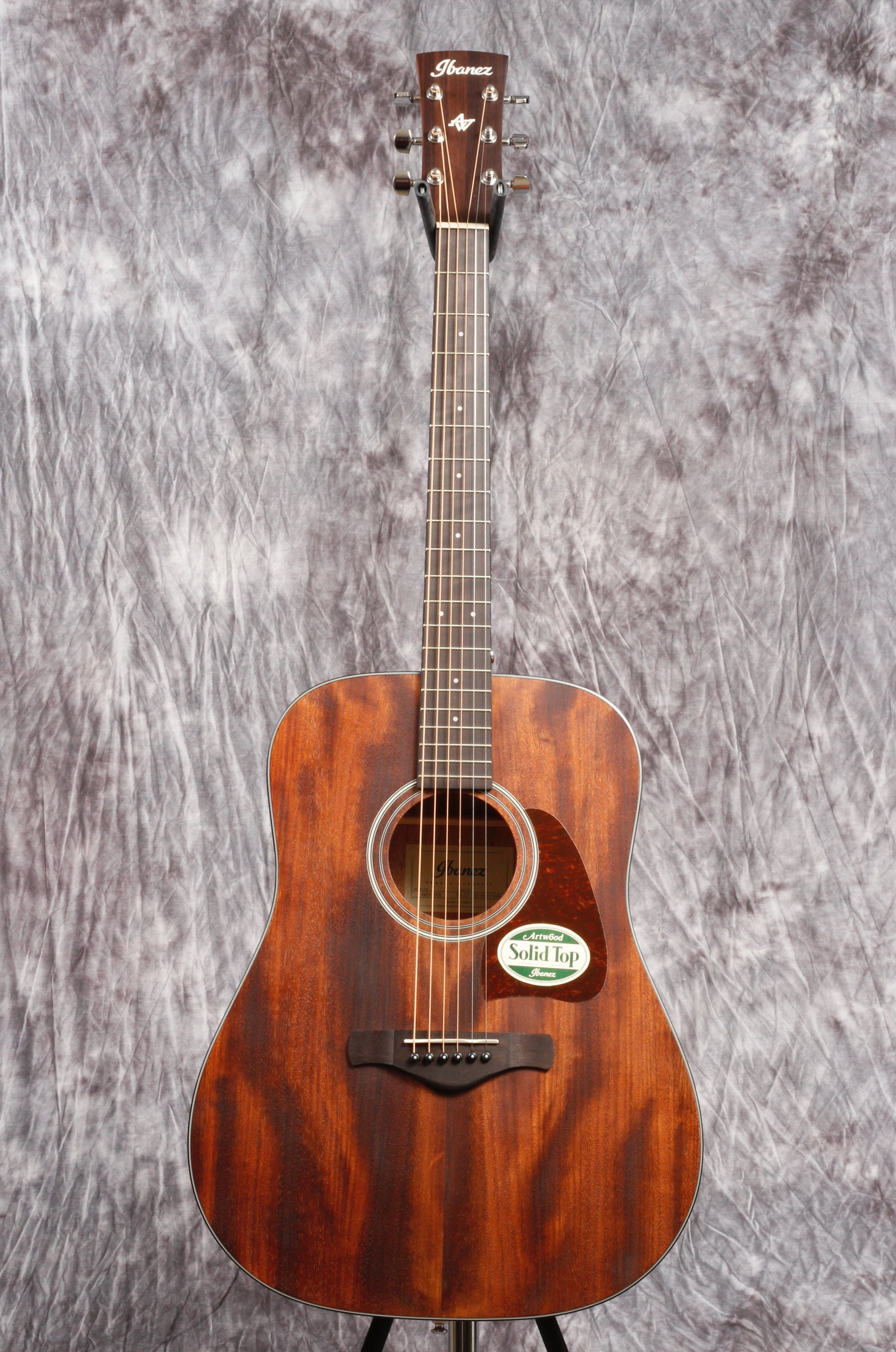 Ibanez Artwood Series ACS Guitar.